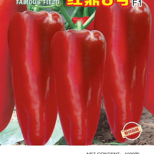 昆明甜椒种子  甜杂种子一代杂交，植株长势旺盛，果实粗圆锥型