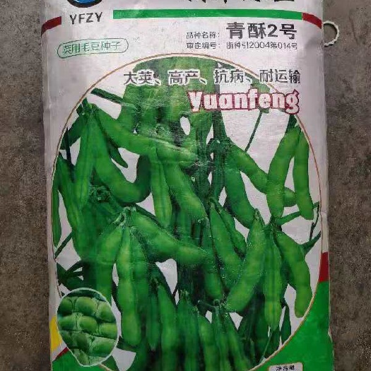 中江县毛豆种子 杂交种 85%以上 
