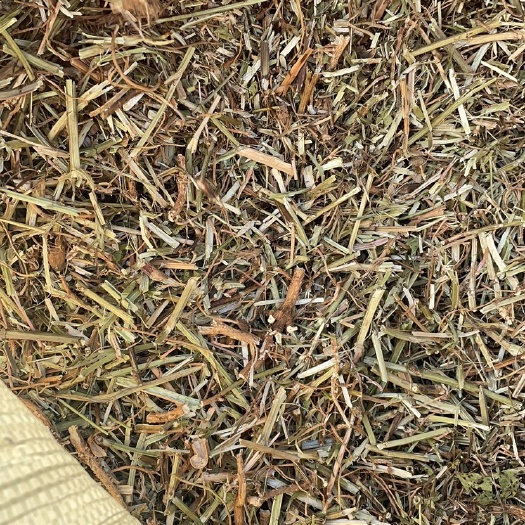 青干草饲料  无图无磨的花生秧子