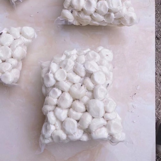 平乐县马蹄/去皮马蹄/荸荠/去皮荸荠产地批发