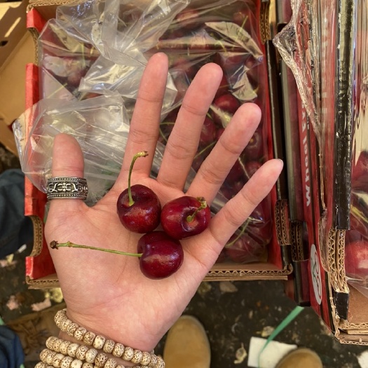 拉宾斯樱桃  J+拉宾斯统货车厘子优惠160一箱20斤装 硬货爽脆甜可口