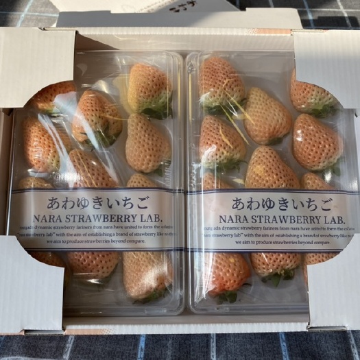 平度市淡雪草莓 橙色淡雪草莓 橘色草莓 全日文包装