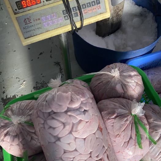 广州猪肠  优质新鲜花肠/，儿肠/生肠，长期有货