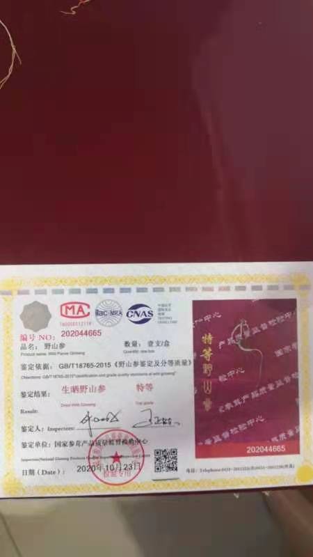 抚松县园参 主要经营林下参 山参 干参和鲜参都有货