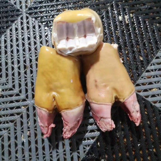 阳信县黄牛 火烧火燎牛脚掌