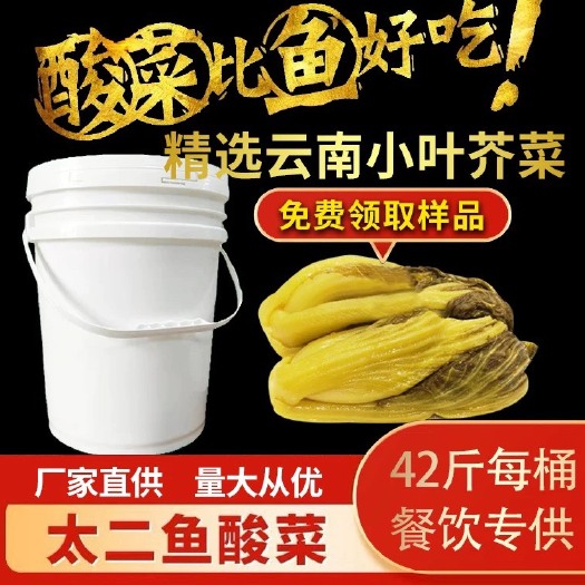 广州广东太二酸菜鱼42斤餐饮专用桶装脆爽小芥菜酸菜