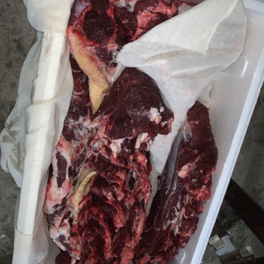 阳信县牛里脊 纯干鲜牛肉清真食品