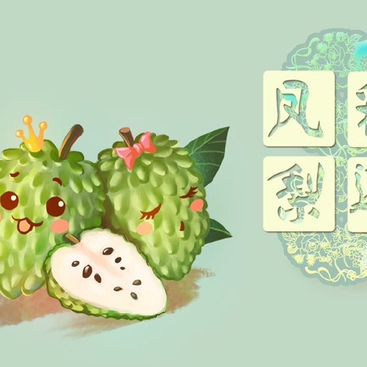 罗平县释迦果 云南省西双版纳傣族自治州景洪市 二级果 