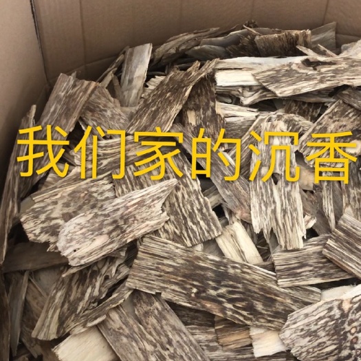 五指山市沉香 精挑细选货 质量保证 油脂好包过检