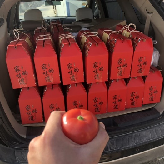 银川普罗旺斯番茄  普罗旺斯口感西红柿！！酸甜平衡 汁水饱满 沙地种植 沙瓤富硒