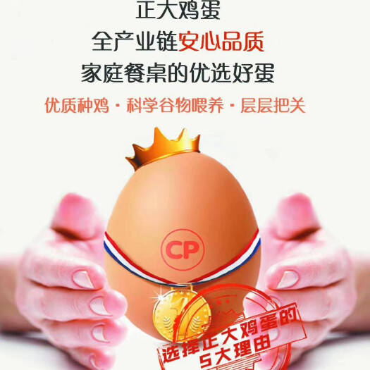 周口粉壳蛋  正大鸡蛋好，天然玉米黄