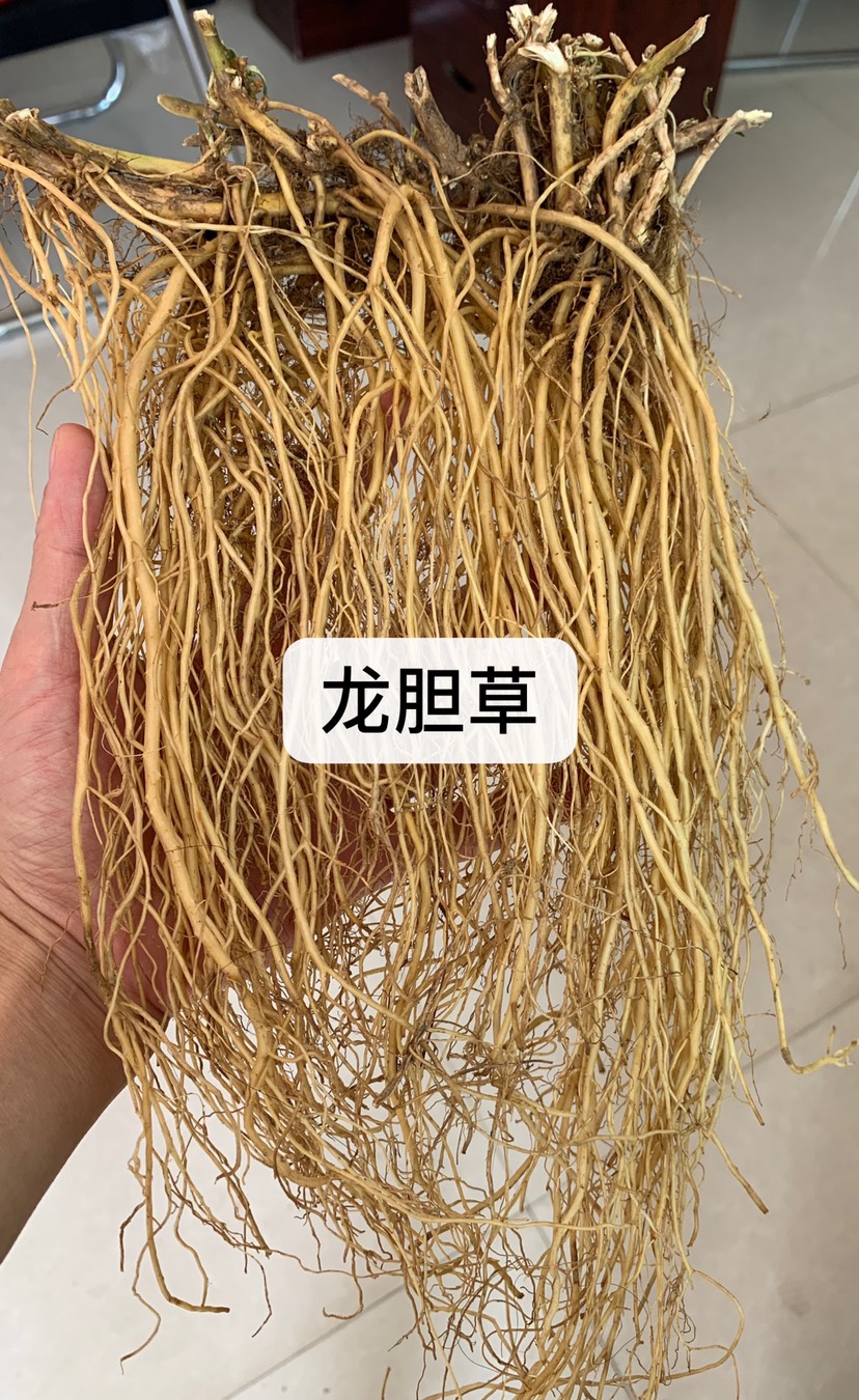 [堅龍膽批發]龍膽草直條 滇龍膽 雲南龍膽草 藥根 酒藥草根 堅龍膽 直