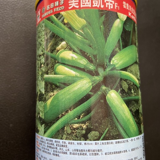 郑州高端西葫芦种子，绿皮油绿西葫芦种子 抗病能力强 高产 卖价好