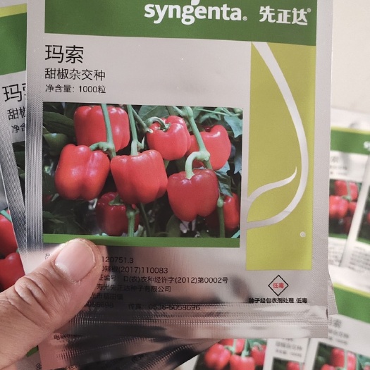 寿光市甜椒种子 纯正原包装甜椒苗