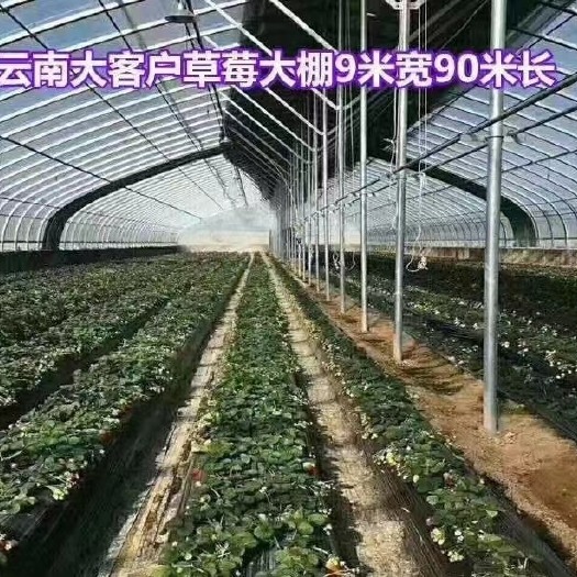 天津大棚管 养殖大棚、种植大棚批发