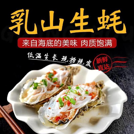 乳山市山东乳山生蚝 三倍体生蚝  海鲜  海蛎子新鲜全国发货