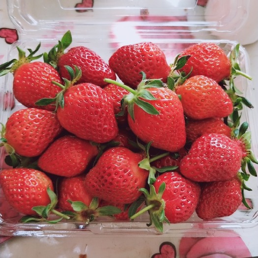 呼和浩特 贵妃草莓