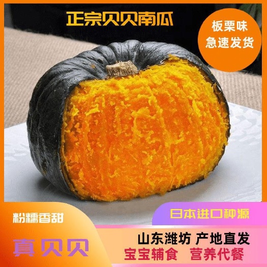 昌乐县山东潍坊
贝贝南瓜日本种源板栗味迷你宝宝辅食【基地直发】