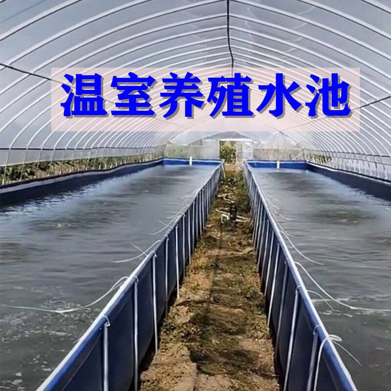 水产养殖箱 镀锌板高密度养殖帆布鱼池帆布水池 养鱼养虾蓄水池