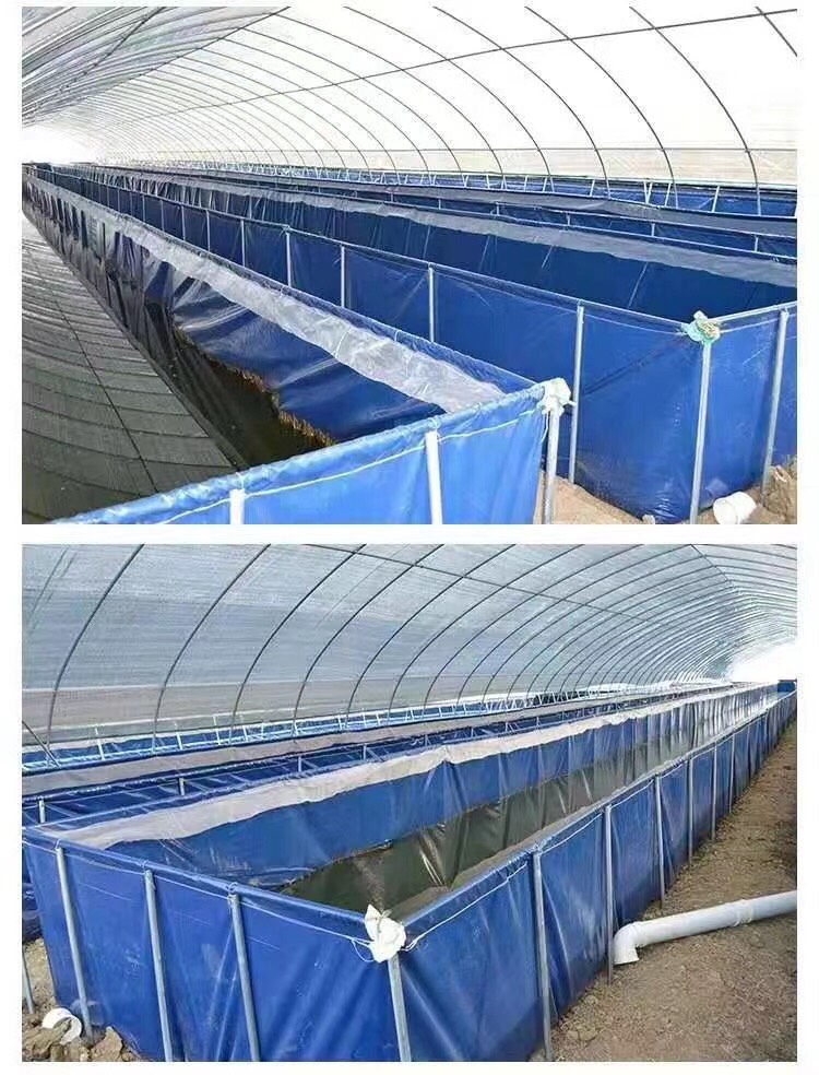 水产养殖箱 镀锌板高密度养殖帆布鱼池帆布水池 养鱼养虾蓄水池