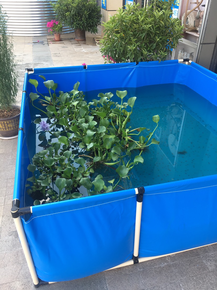 水产养殖箱 镀锌板高密度养殖帆布鱼池帆布水池 养鱼养虾蓄水池