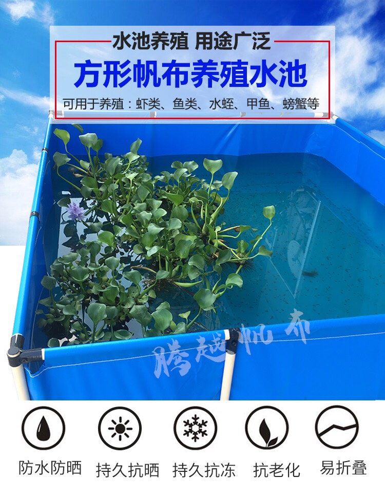 水产养殖箱 镀锌板高密度养殖帆布鱼池帆布水池 养鱼养虾蓄水池