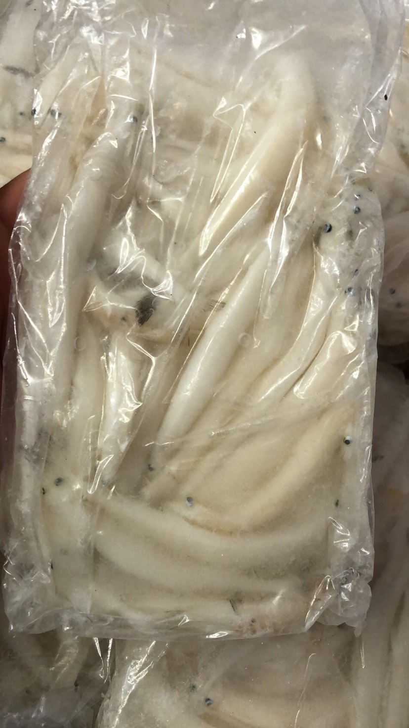 鲜活冷冻鲜银鱼银鱼新鲜水产冷冻面白饭鱼宝宝辅食面条鱼无骨鱼