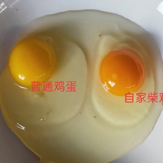 蠡县长期出售土鸡蛋 批发零售 一箱360个欢迎大家采购