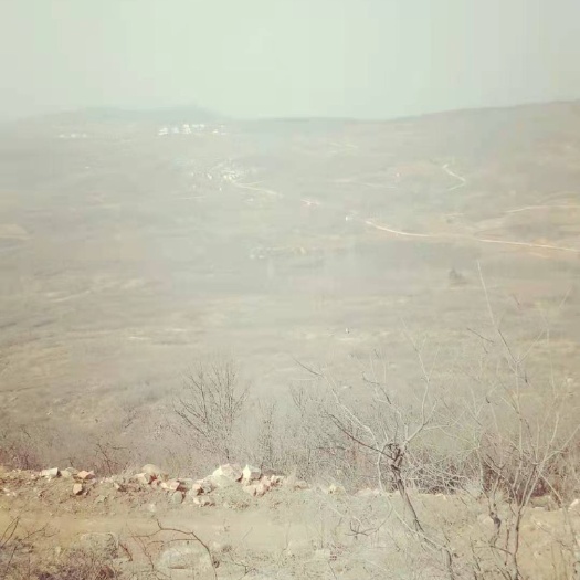 义马市荒地 离洛阳五十公里，680亩荒山，有林权证，可租可售，可养殖种植