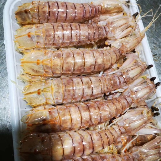 北海 熟冻皮皮虾产地直销，我们的皮皮虾来自北海
