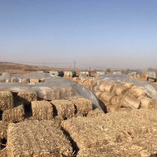  场地压块，玉米秸秆，三次除尘、无土无膜、水份安全