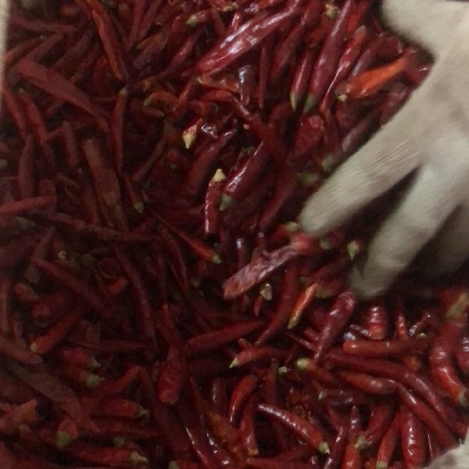 鱼台县天宇干辣椒  天宇高辣