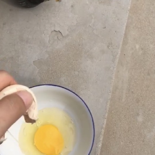 辛集市普通鸡蛋 中码蛋 粉壳蛋 饲料蛋