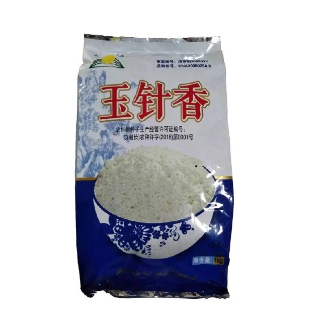 玉针香水稻种子  谷种优质香米稻种 玉针香 常规水稻种子晚稻