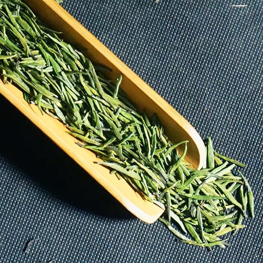 眉山雀舌茶  2021年开春新茶，雀舌精品