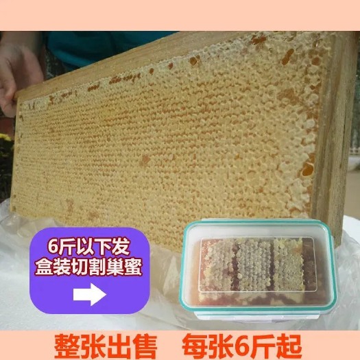 尉氏县蜂巢蜜  整个蜂巢整板蜜蜂土蜂蜜整版纯正整块农家百花蜜巢蜜礼品礼盒