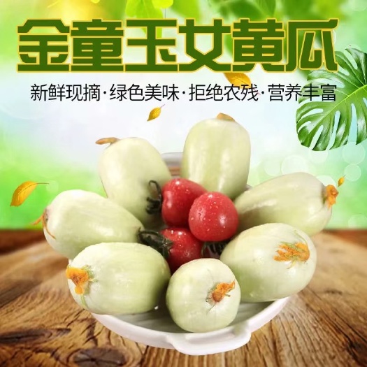 小黄瓜金童玉女黄瓜  3-5斤   一件代发
