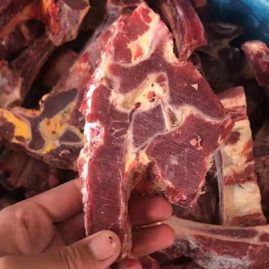 牛脊骨  多肉牛背骨 牛背骨 可用于自助餐 骨头店 质优价廉