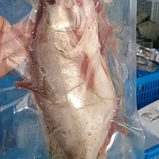 黄山斑鳜  黄山特产 臭鳜鱼