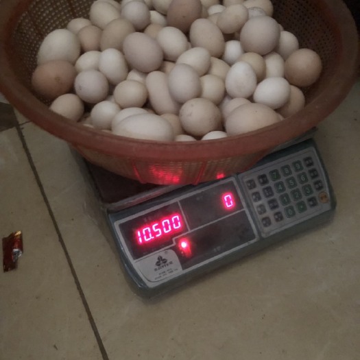 博罗县普通鸡蛋 食用 箱装