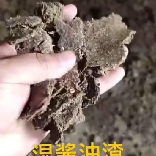 正定县 湿酱油渣