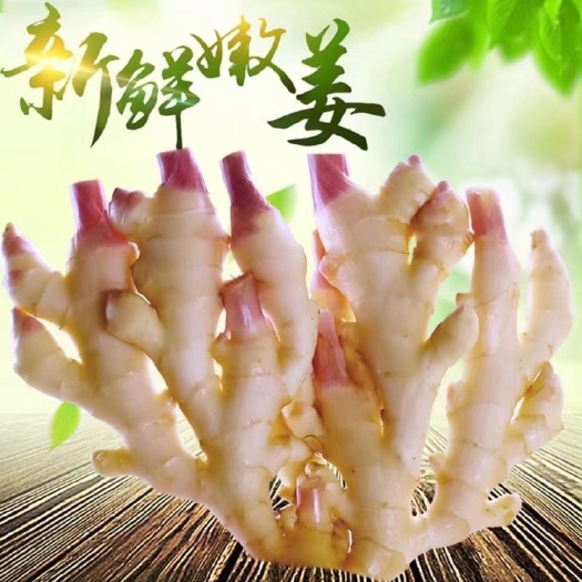 壽光市仔姜  山東壽光   紅牙嫩姜  3-5斤     一件代發(fā)