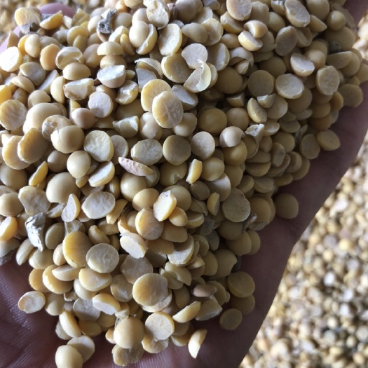 新沂市黄豆瓣  精品豆瓣，蛋白高，颜色好，价格优惠，欢迎选购