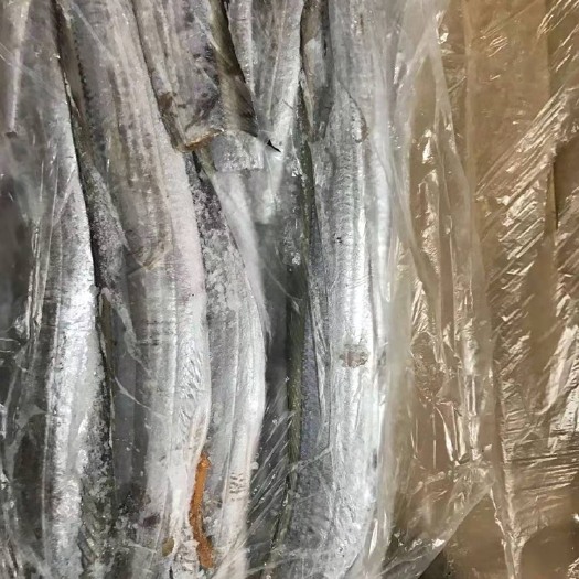 福州 西非带鱼段