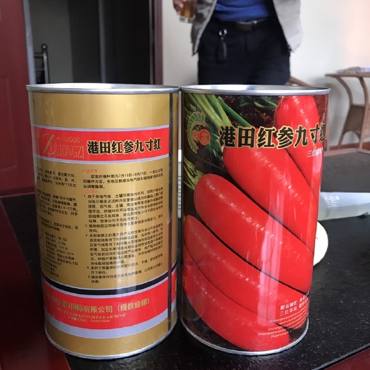 永济市批发全红萝卜种子 胡萝卜种子 港田九寸参 口感好 产量高