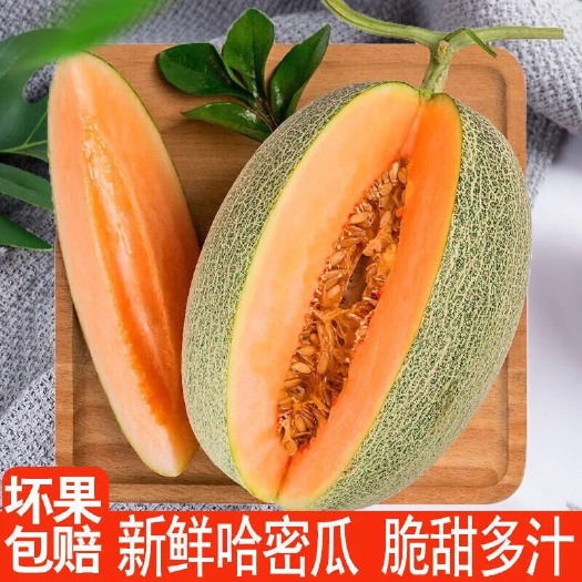 寿光市西州蜜 山东省潍坊市寿光市