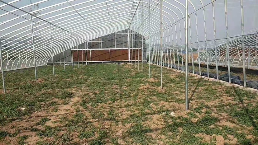 天津大棚管 种植大棚