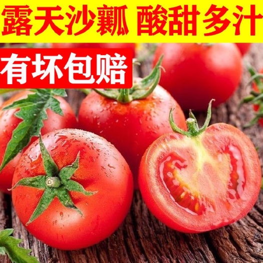 彭州市【坏了包赔】西红柿批发沙瓤新鲜番茄蔬菜水果圣女果普