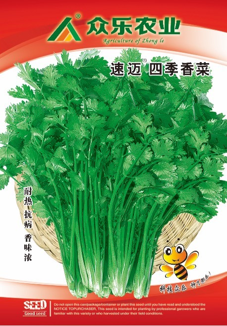 昆明云南四季香菜种子芫荽种子——香菜种子耐热、抗病、耐抽苔