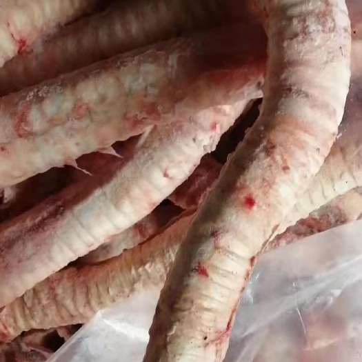 汕头牛黄喉  喉管，精修喉管无油无草